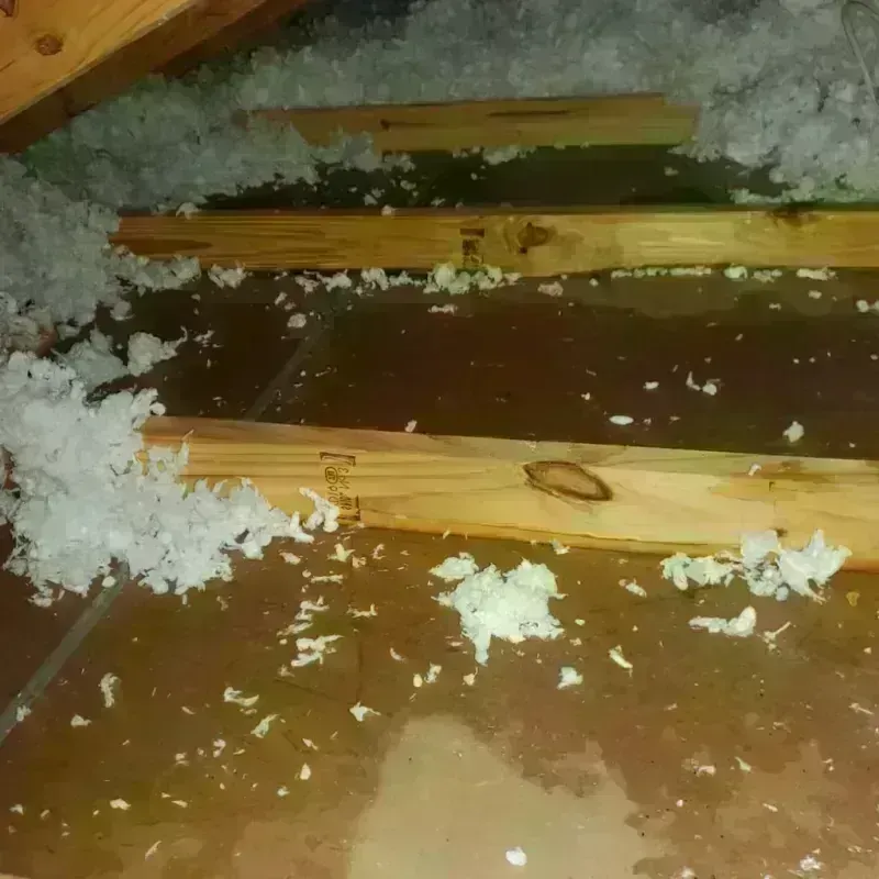 Attic Water Damage in Cascade Locks, OR