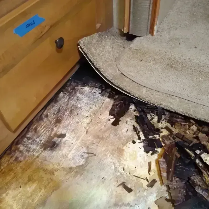 Wood Floor Water Damage in Cascade Locks, OR